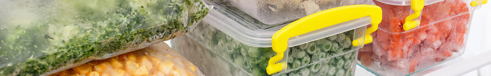 close-up of food stored in plastic containers